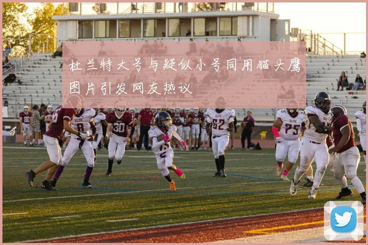 杜兰特大号与疑似小号同用猫头鹰图片引发网友热议